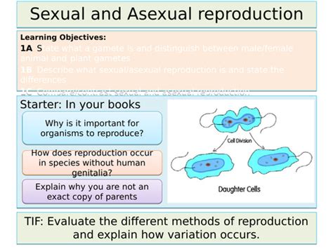 Sexual And Asexual Reproduction Teaching Resources