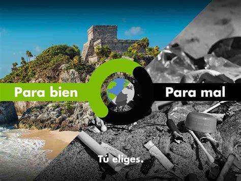 Día De La Tierra 8 Acciones Para Cuidar Nuestro Planeta