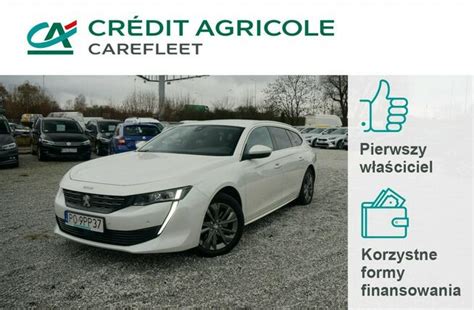 Samochody Elektryczne Peugeot Pozna Darmowe Og Oszenia Lento Pl