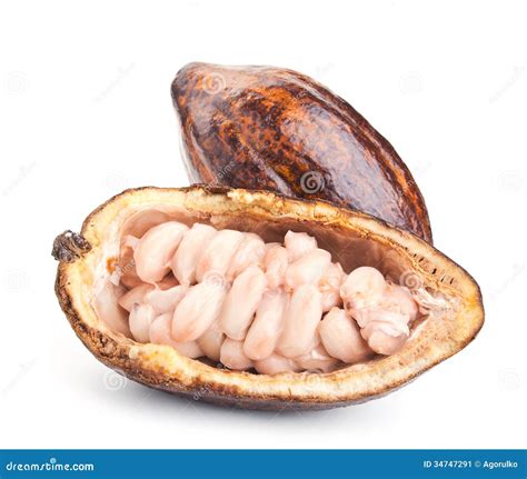 Raw Cocoa Pod And Beans Isolated On A White Stock Image Image