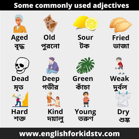 commonly  adjectives english  kids