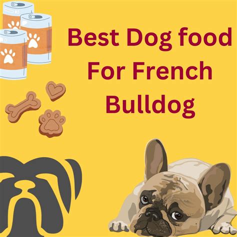 Best Dry Dog Food for a French Bulldog - Owgal