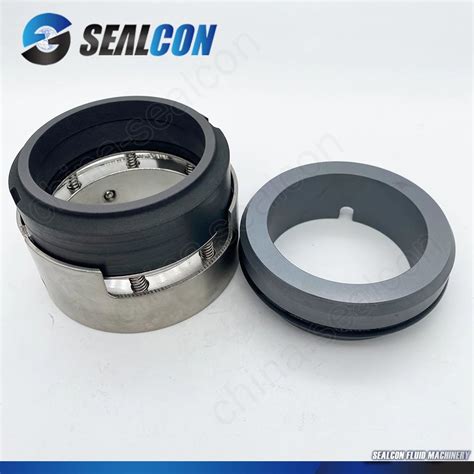 Aesseal H Wave Spring Mechanical Seal China Mechanical Seal And