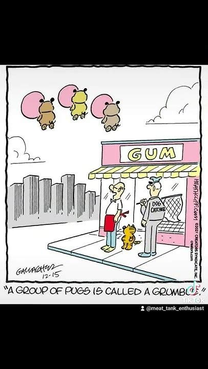 Heathcliff Loves Gum Youtube