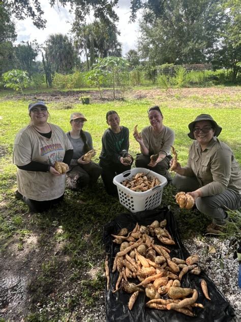 DDWS Provides Outreach Update SANIBEL CAPTIVA Island Reporter