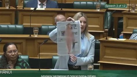 New Zealand Mp Holds Up Naked Deepfake Photo Of Herself In Parliament Nestia