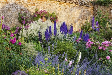 22 Deer Resistant Perennials Theyre Gorgeous Too Deer Resistant