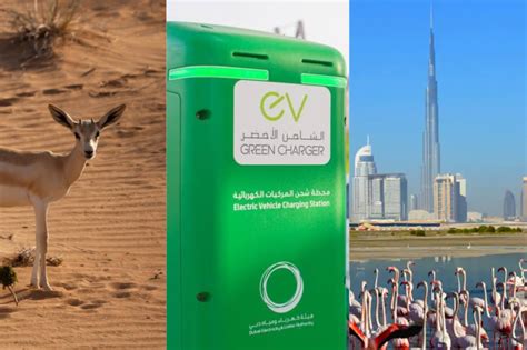 Sustainable Tourism In Uae Eco Friendly Travel Options