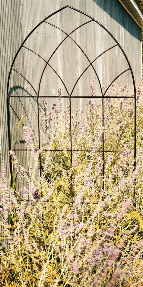 Metal Garden Arbors And Trellises Foter Flower Trellis Garden Trellis Designs Metal Trellis