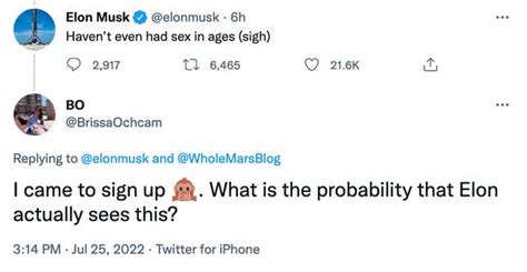 Elon Musk Denies Having Sex With Wife Of Google S Sergey Brin