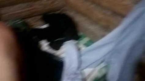 Anal In The Sauna Free Amateur Porn Video C XHamster