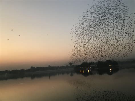 Kankaria Lake Rpics