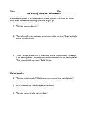 Exploring Biomolecules: Carbohydrates, Proteins, Lipids & | Course Hero