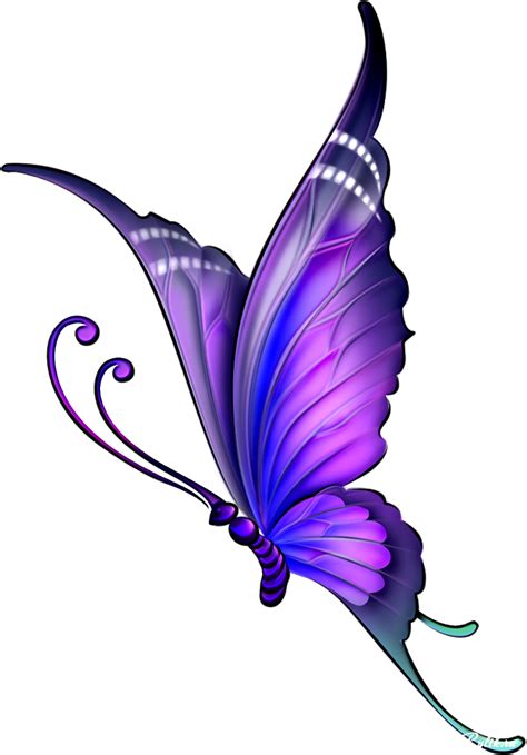 Download Butterfly Drawing Color Clip Art - Butterfly Drawing With ...