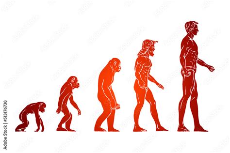 Theory Of Evolution Of Man Silhouette Vector Illustration Hand