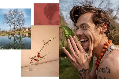 Exclusive Harry Styles Shares The Meaning Behind His New Album Harry