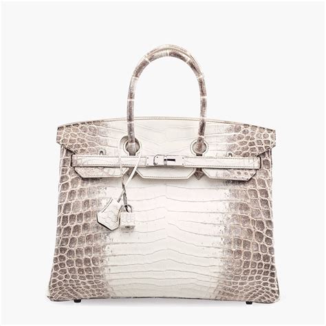 Hermes Himalayan Crocodile Birkin Bag Price | Literacy Basics