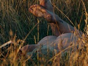 Saltburn Nude Scenes Aznude