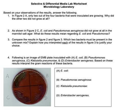 Solved Selective & Differential Media Lab Worksheet | Chegg.com