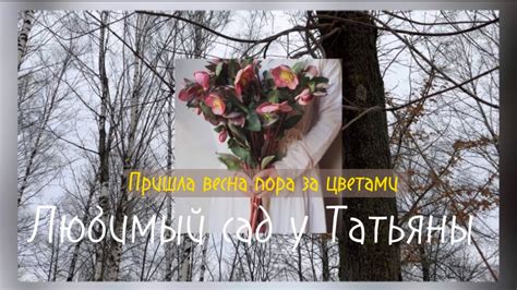 НАСЕННЕ Магазин семян в Минске пр. Дзержинского, ассортимент. Где ...