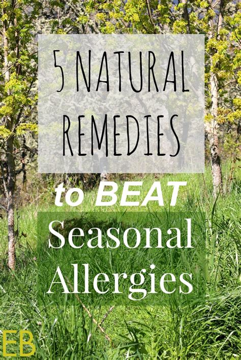 5 Natural Remedies To Beat Seasonal Allergies Eat Beautiful