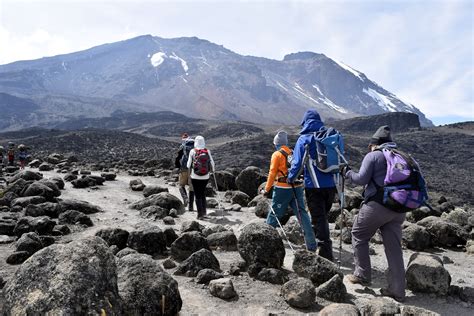 Ruta Umbwe Tanzania Joy Tours I Ascenso Al Kilimanjaro I Safari Tanzania