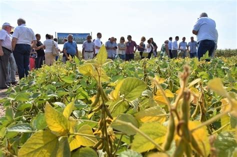 Pomoc Po Suszy Uprawa Soi W Polsce I Wy Cigi Traktor W W Agro