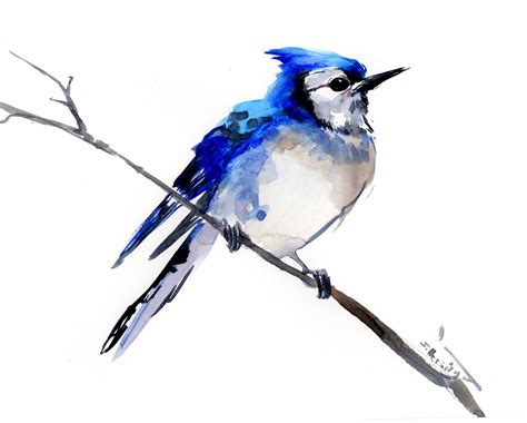 Blue Jay, one of a kind watercolor art, Painting, bird art, blue ...