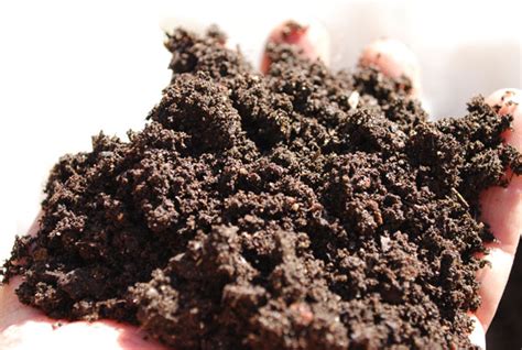 Facts about soil, What is Soil Made Of, Why is Soil So Important