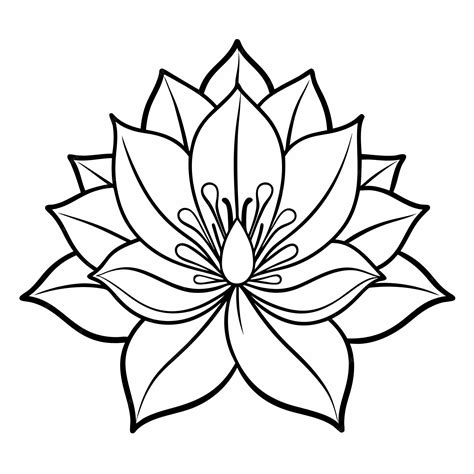 black  white drawing   lotus flower premium ai generated image
