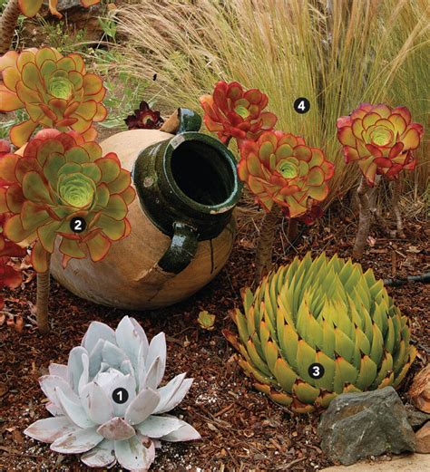 Gorgeous Drought Tolerant Garden Plans And Ideas Fine Gardening