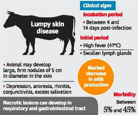 Explained Lumpy Skin Disease In India Civilsdaily