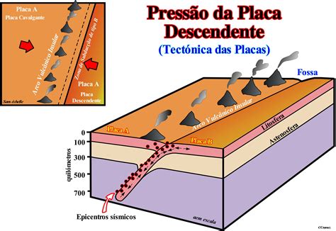 Pagina P3 Termos