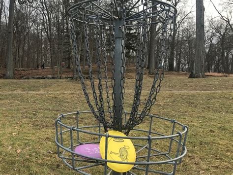 PDGA Tourney Brings Some Winter Excitement To Mount Kisco Park ...