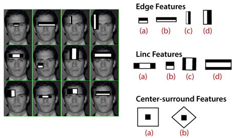 Face Recognition And Face Detection Using Opencv Javatpoint Images