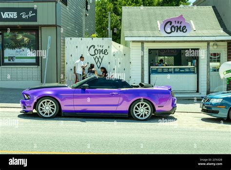 Purple And Black Mustang