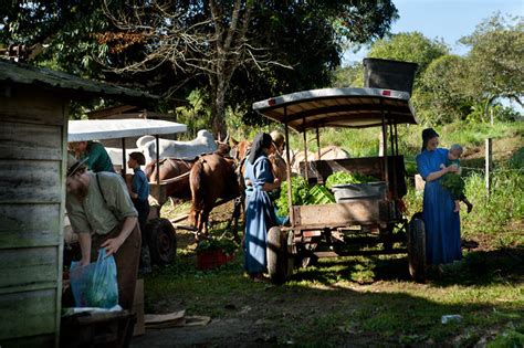 Mennonites in Belize: Unique meeting back in time | The Family Without ...