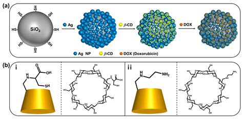 Functionalized β Cyclodextrin Immobilized On Ag Embedded Silica Nanoparticles As A Drug Carrier