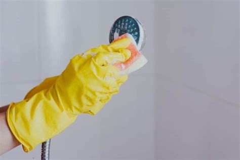 How To Clean A Shower Head 6 Easy Ways