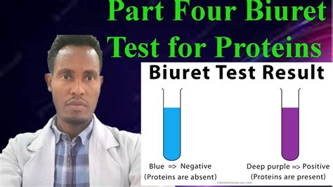 Principles Procedures And Results Of Biuret Test For Proteins Youtube