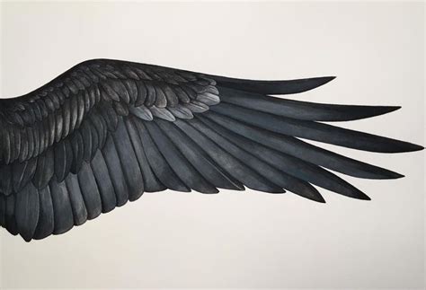 Pin By Sissy Romina On Drawing Reference Inspiration Wings Drawing
