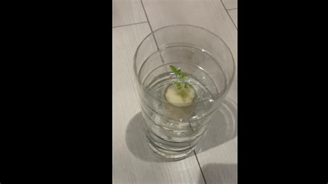 Mi Tsu Ki S Sex Videos Recorded Cam Shows Stripchat