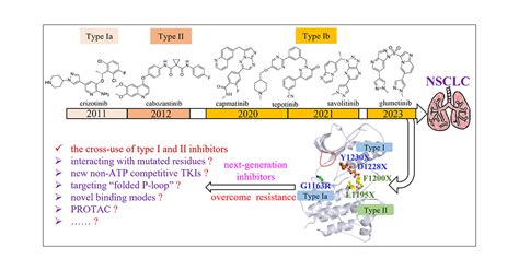 Targeting Met Discovery Of Small Molecule Inhibitors As Non Small Cell