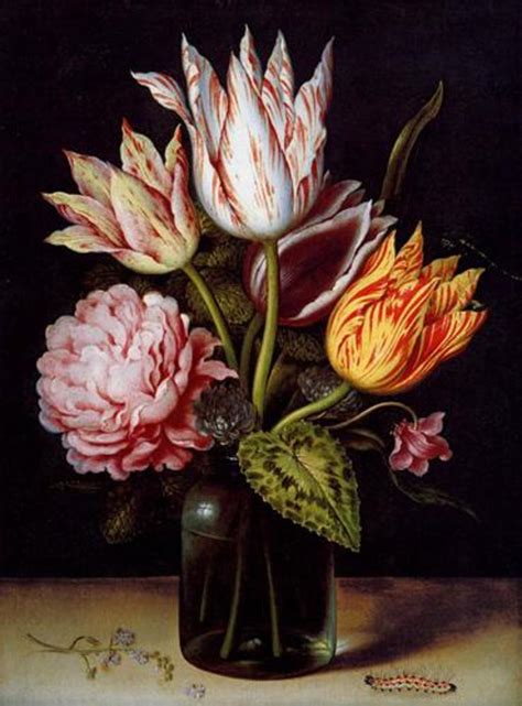 history  tulips hubpages
