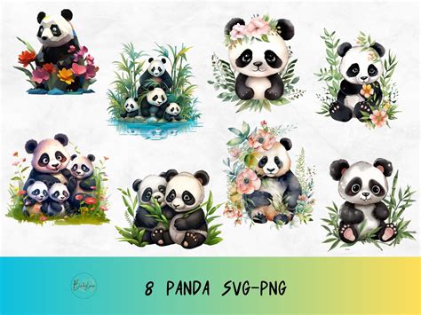 Floral Panda Svg Panda Svg Bundle Hand Drawn Watercolor Art Cute