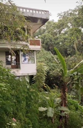 Viral Rumah Mewah Tak Berpenghuni Di Tengah Hutan Warganet Merinding