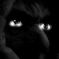 About – Joseph Romano – Medium