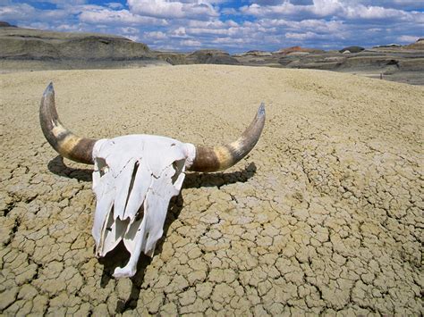 Lugares Por Los Que Perderse El Valle De La Muerte California Eeuu