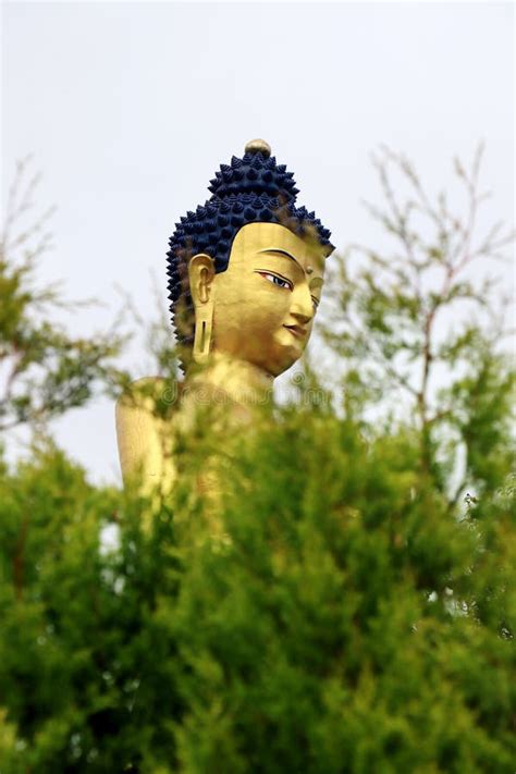 Buddha Park Of Ravangla Beautiful Huge Statue Of Lord Buddha At