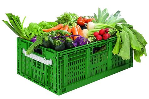 Eco fresh – freshness guaranteed | Warehouse & Logistics News